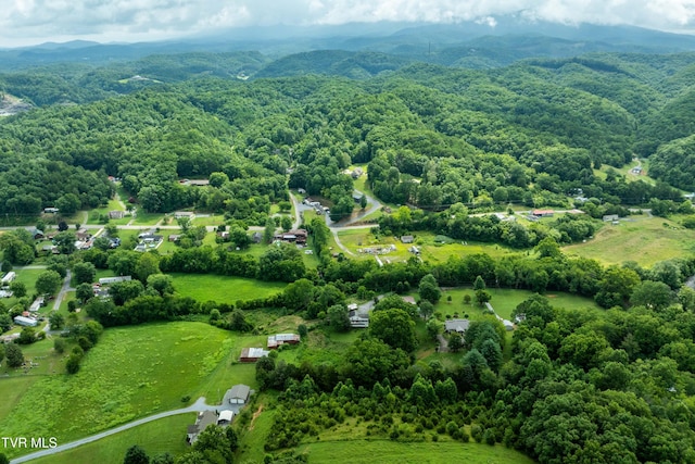 361 Malone Rd, Watauga, TN 37694 - photo 12