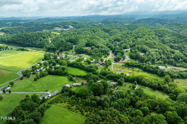 361 Malone Rd, Watauga, TN 37694 - photo 13