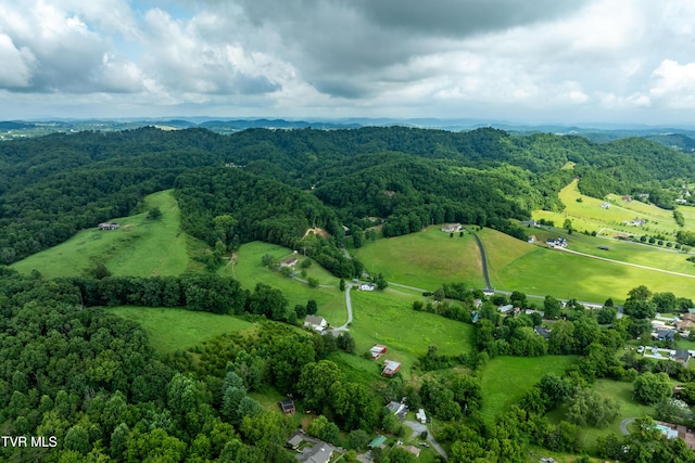 361 Malone Rd, Watauga, TN 37694 - photo 15