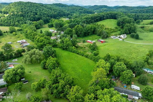 361 Malone Rd, Watauga, TN 37694 - photo 18