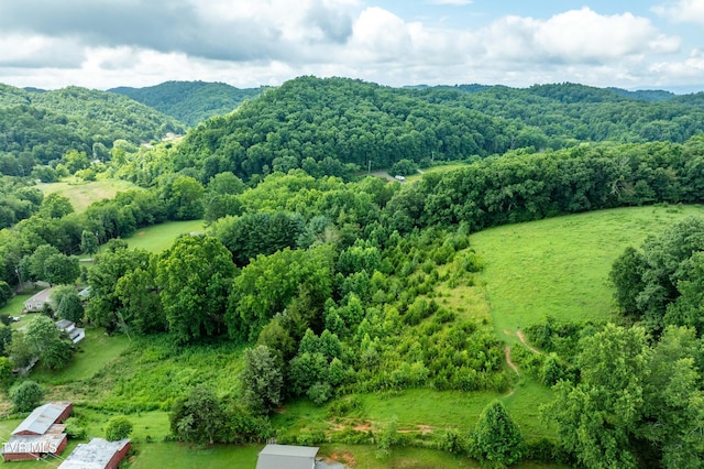 361 Malone Rd, Watauga, TN 37694 - photo 20