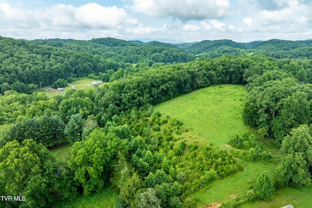 361 Malone Rd, Watauga, TN 37694 - photo 21