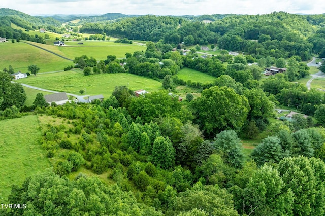 361 Malone Rd, Watauga, TN 37694 - photo 23