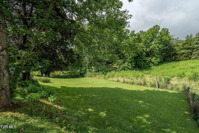361 Malone Rd, Watauga, TN 37694 - photo 39
