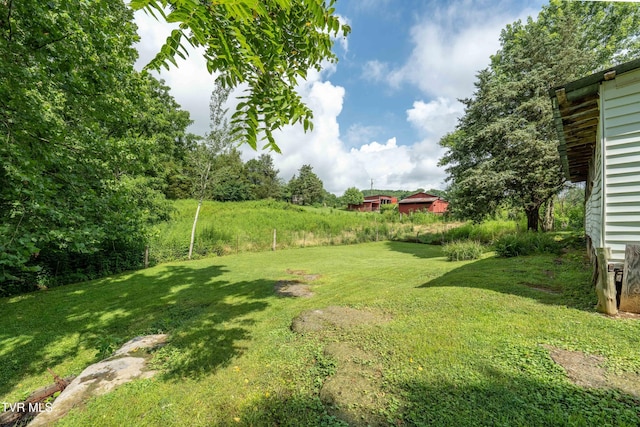 361 Malone Rd, Watauga, TN 37694 - photo 44