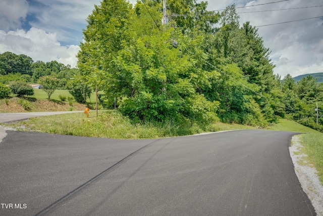 TBD Laredo St, Tazewell, VA 24651 - photo 17