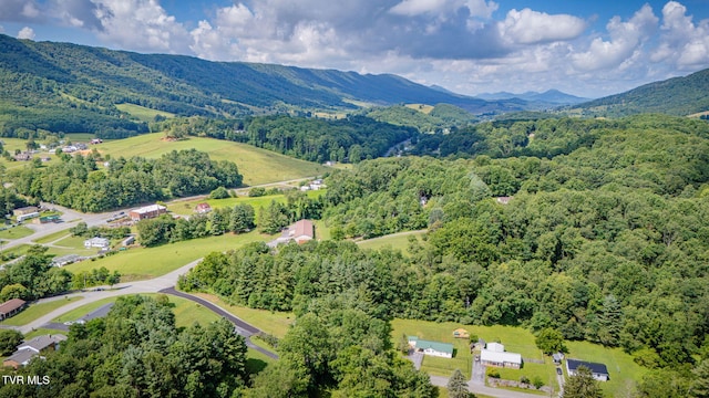 TBD Laredo St, Tazewell, VA 24651 - photo 10