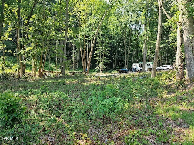 00 Irondale Rd, Big Stone Gap, VA 24219
