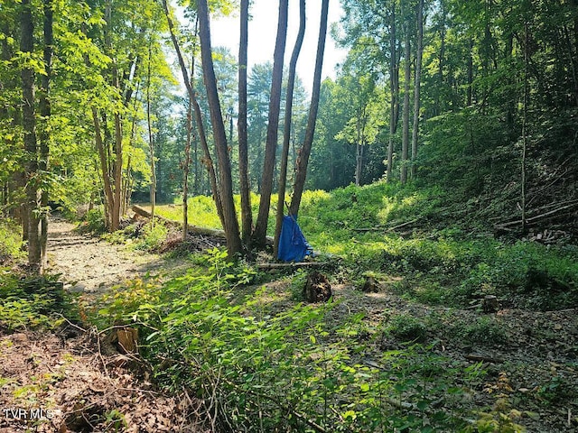 00 Irondale Rd, Big Stone Gap, VA 24219