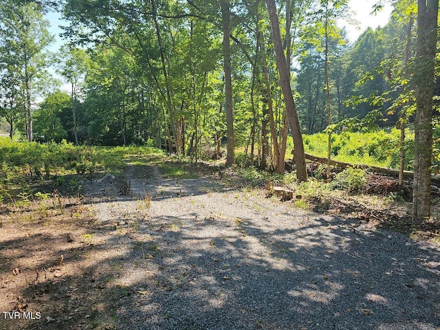 00 Irondale Rd, Big Stone Gap, VA 24219