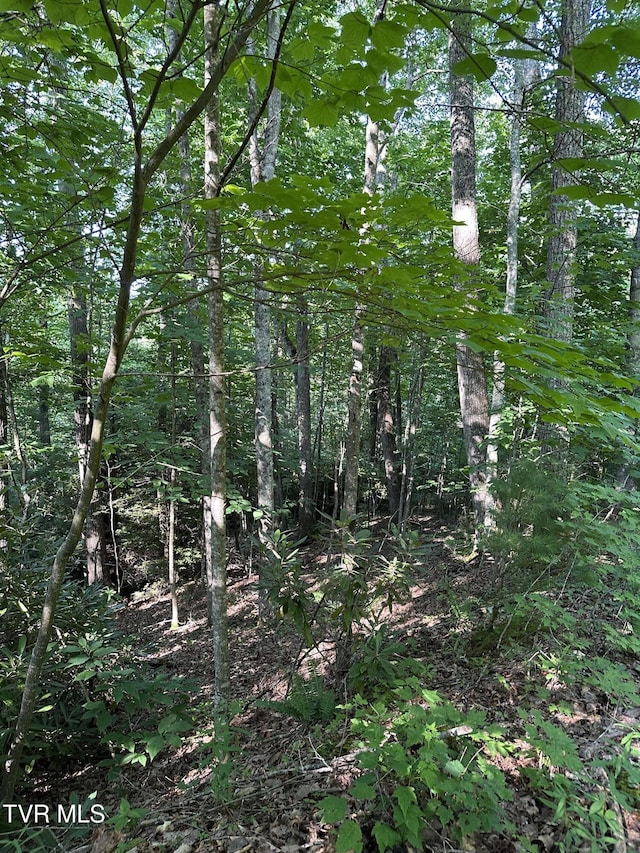 1501 Sprucy Ridge Private Rd, Mountain City, TN 37683 - photo 2