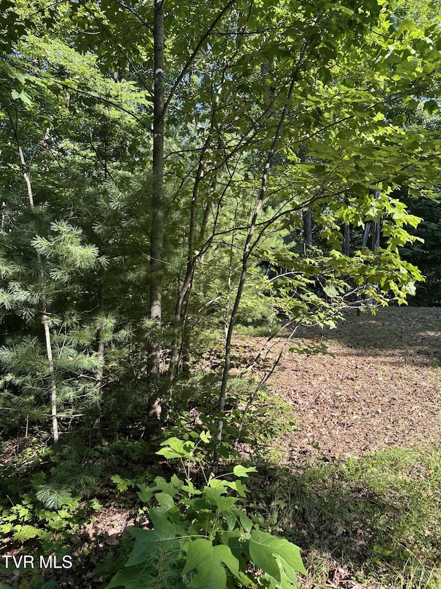 1501 Sprucy Ridge Private Rd, Mountain City, TN 37683 - photo 6