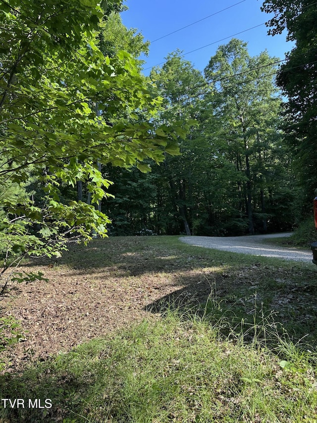 1501 Sprucy Ridge Private Rd, Mountain City, TN 37683 - photo 5