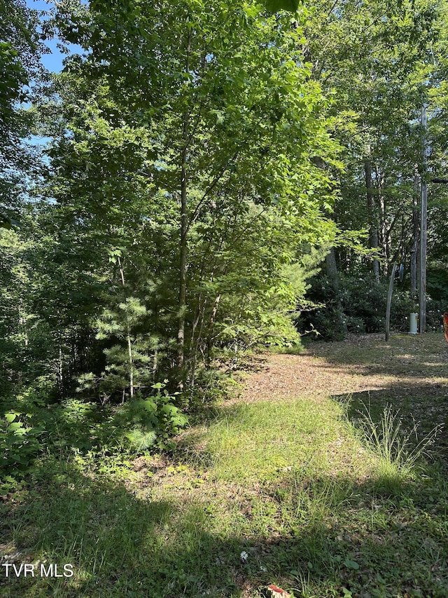 1501 Sprucy Ridge Private Rd, Mountain City, TN 37683 - photo 8