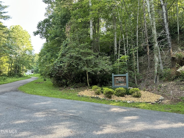 1501 Sprucy Ridge Private Rd, Mountain City, TN 37683 - photo 12