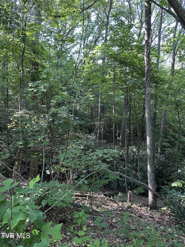 1501 Sprucy Ridge Private Rd, Mountain City, TN 37683 - photo 9