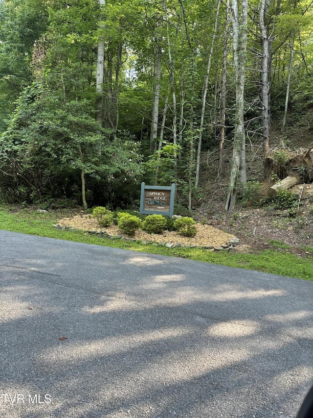 1501 Sprucy Ridge Private Rd, Mountain City, TN 37683 - photo 13