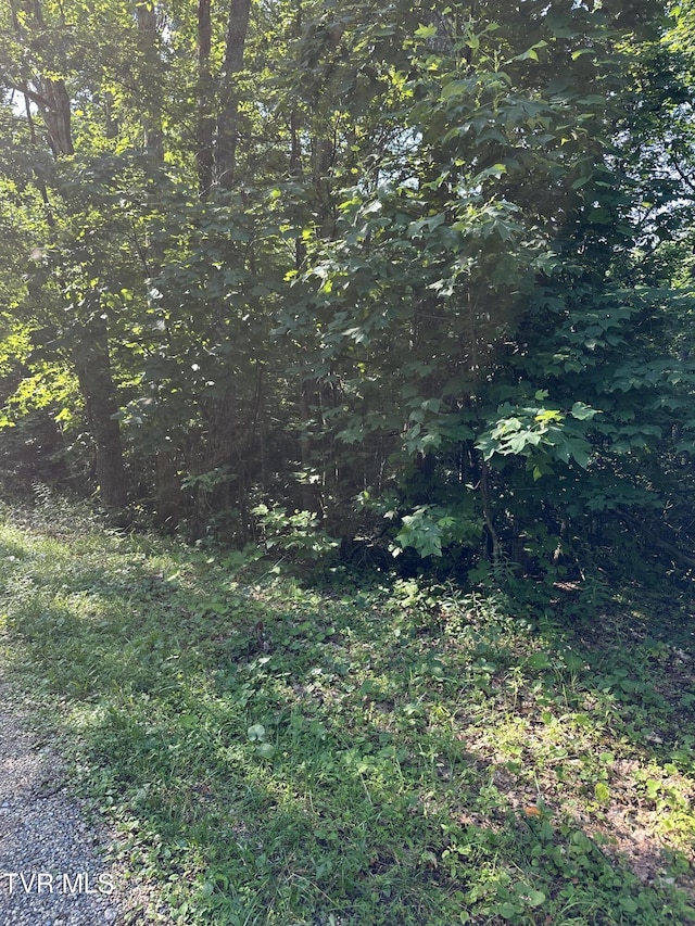 1501 Sprucy Ridge Private Rd, Mountain City, TN 37683 - photo 10