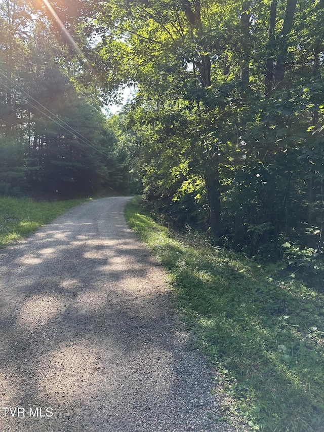 1501 Sprucy Ridge Private Rd, Mountain City, TN 37683 - photo 11