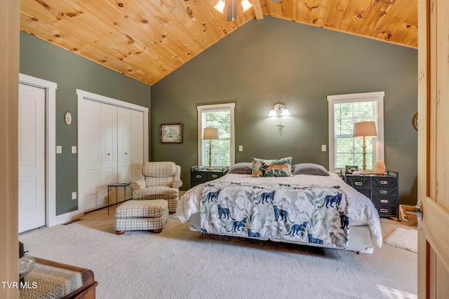 110 Stockton Rd, Roan Mountain, TN 37687 - photo 16