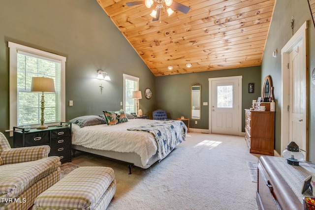 110 Stockton Rd, Roan Mountain, TN 37687 - photo 18