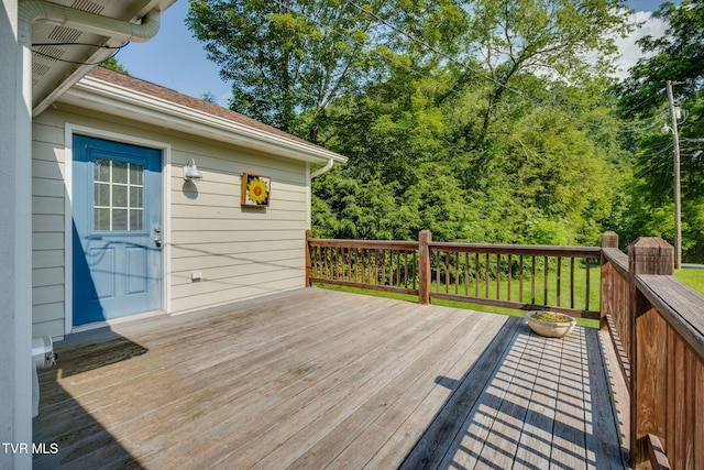 110 Stockton Rd, Roan Mountain, TN 37687 - photo 26