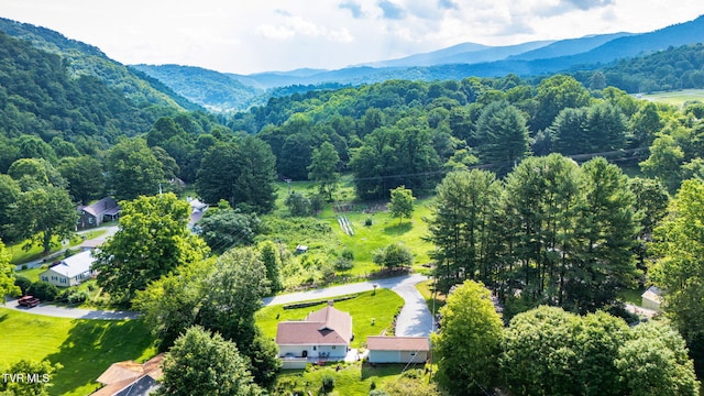 110 Stockton Rd, Roan Mountain, TN 37687 - photo 36