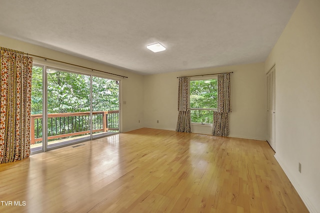 4416 Beechcliff Dr, Kingsport, TN 37664 - photo 5