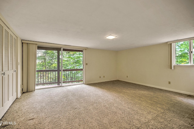 4416 Beechcliff Dr, Kingsport, TN 37664 - photo 43