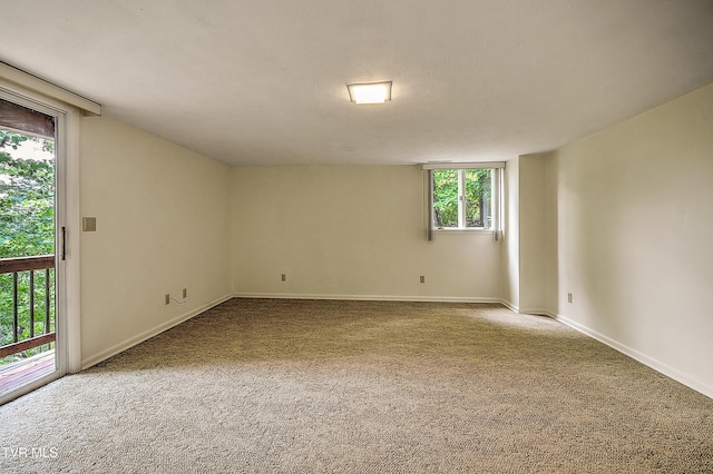 4416 Beechcliff Dr, Kingsport, TN 37664 - photo 44