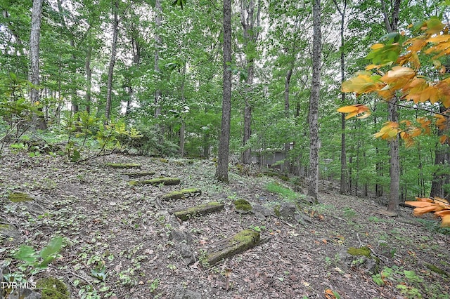 4416 Beechcliff Dr, Kingsport, TN 37664 - photo 66