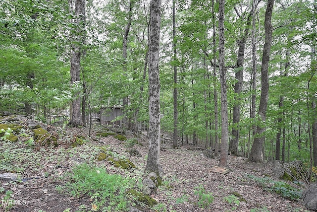 4416 Beechcliff Dr, Kingsport, TN 37664 - photo 68