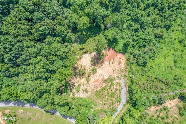 000 Fleenor Dr, Blountville, TN 37617 - photo 2