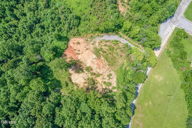 000 Fleenor Dr, Blountville, TN 37617 - photo 3