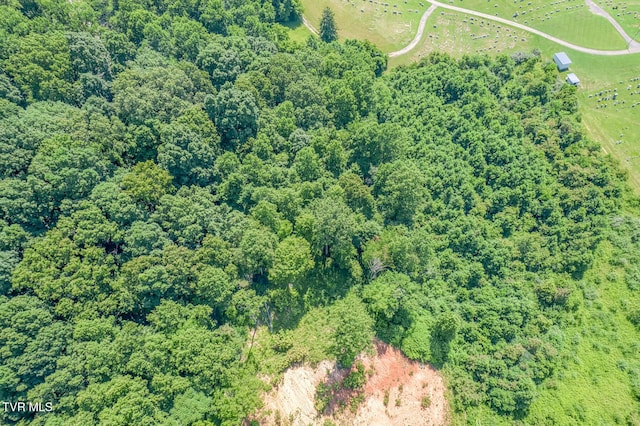 000 Fleenor Dr, Blountville, TN 37617 - photo 4