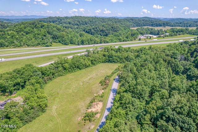 000 Fleenor Dr, Blountville, TN 37617 - photo 7