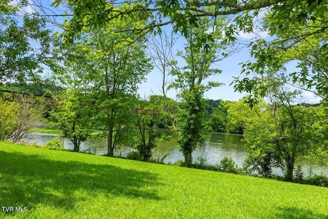 628 Christian Bend Rd, Church Hill, TN 37642 - photo 15