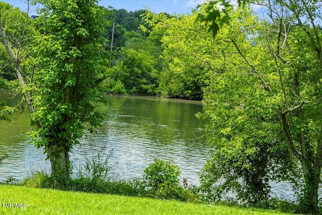 628 Christian Bend Rd, Church Hill, TN 37642 - photo 16