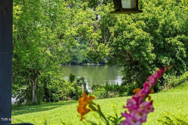 628 Christian Bend Rd, Church Hill, TN 37642 - photo 29