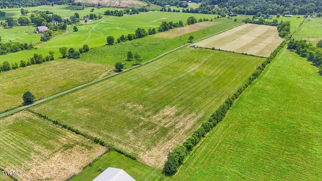 628 Christian Bend Rd, Church Hill, TN 37642 - photo 82
