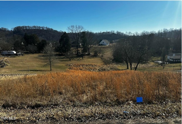 TBD Clearwater Dr, Kingsport, TN 37664 - photo 1