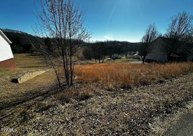 TBD Clearwater Dr, Kingsport, TN 37664 - photo 3