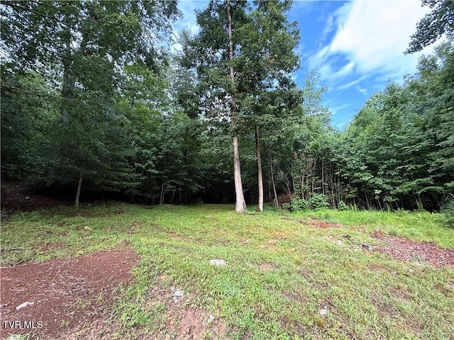 912 Hawkins Rd, Laurel Bloomery, TN 37680 - view of yard with a forest view