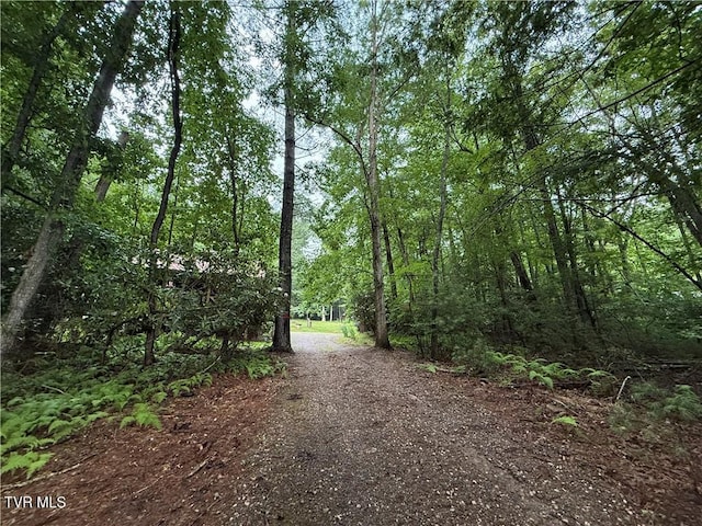 912 Hawkins Rd, Laurel Bloomery, TN 37680 - view of street featuring a view of trees
