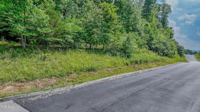 000 Fordtown Rd, Kingsport, TN 37663 - photo 5