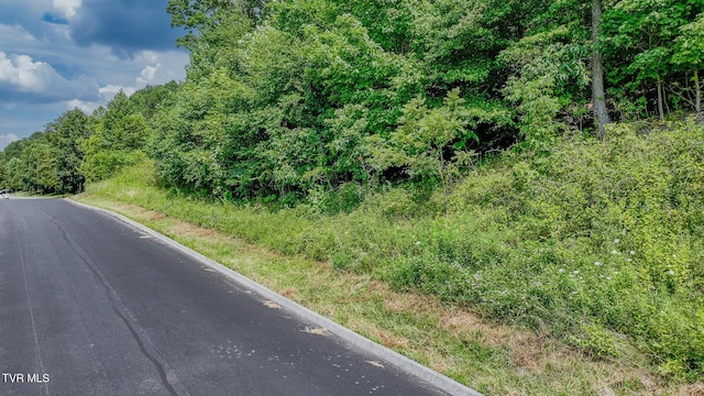 000 Fordtown Rd, Kingsport, TN 37663 - photo 8