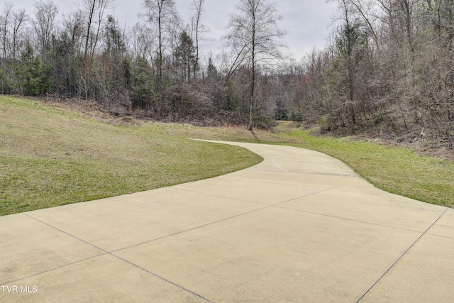 TBD Dry Creek Rd, Elizabethton, TN 37643 - photo 28