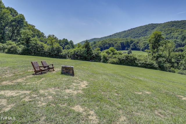 TBD Dry Creek Rd, Elizabethton, TN 37643 - photo 128