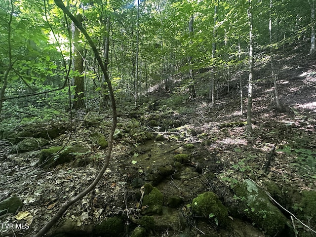 TBD Clinch Mountain Rd, Eidson, TN 37731 - photo 4