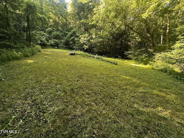 TBD Clinch Mountain Rd, Eidson, TN 37731 - photo 7